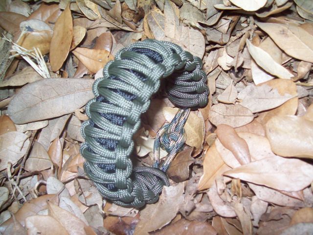 King Cobra Paracor Bracelet